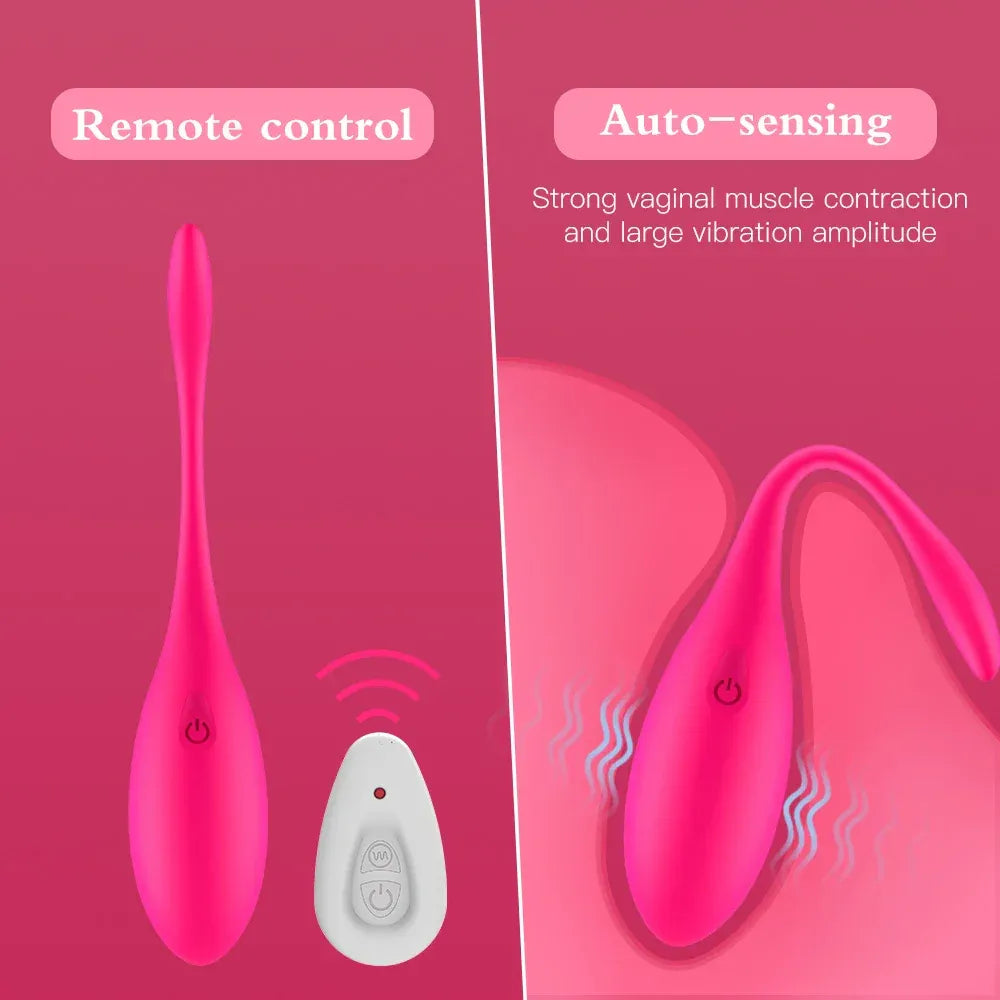 Wireless Remote Egg Vibrator For Women G Spot Stimulator &
